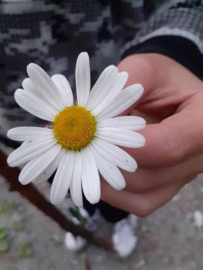 Appartamento Signorile Con Giardino Aoste Extérieur photo